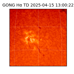 gong - 2025-04-15T13:00:22