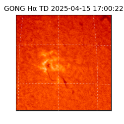 gong - 2025-04-15T17:00:22