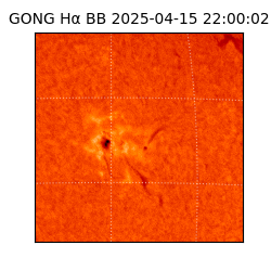 gong - 2025-04-15T22:00:02