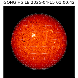 gong - 2025-04-15T01:00:42