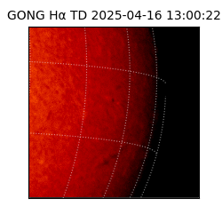 gong - 2025-04-16T13:00:22
