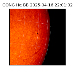 gong - 2025-04-16T22:01:02
