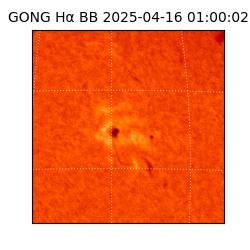 gong - 2025-04-16T01:00:02