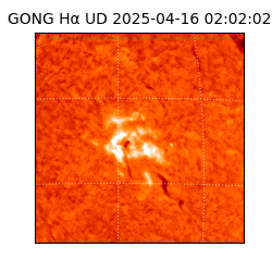 gong - 2025-04-16T02:02:02