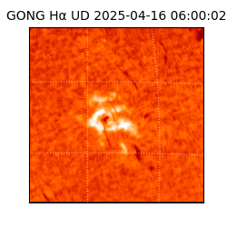 gong - 2025-04-16T06:00:02