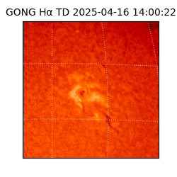 gong - 2025-04-16T14:00:22