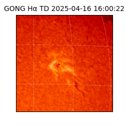 gong - 2025-04-16T16:00:22