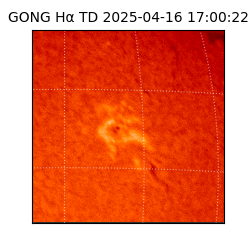 gong - 2025-04-16T17:00:22