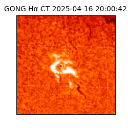 gong - 2025-04-16T20:00:42