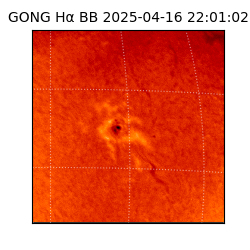 gong - 2025-04-16T22:01:02
