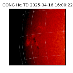 gong - 2025-04-16T16:00:22