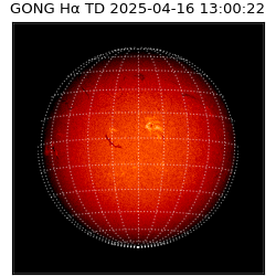 gong - 2025-04-16T13:00:22
