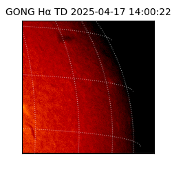 gong - 2025-04-17T14:00:22