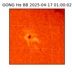 gong - 2025-04-17T01:00:02