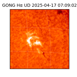 gong - 2025-04-17T07:09:02