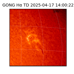 gong - 2025-04-17T14:00:22