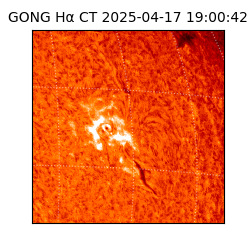 gong - 2025-04-17T19:00:42