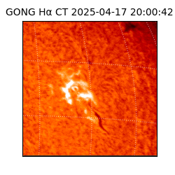 gong - 2025-04-17T20:00:42