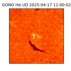 gong - 2025-04-17T11:00:02