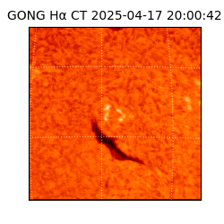 gong - 2025-04-17T20:00:42