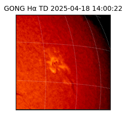 gong - 2025-04-18T14:00:22