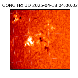 gong - 2025-04-18T04:00:02