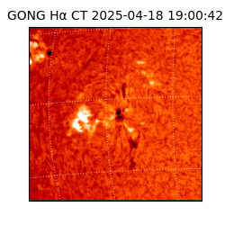 gong - 2025-04-18T19:00:42