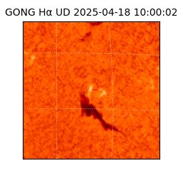 gong - 2025-04-18T10:00:02