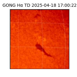 gong - 2025-04-18T17:00:22