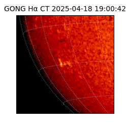 gong - 2025-04-18T19:00:42