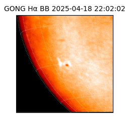 gong - 2025-04-18T22:02:02