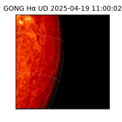 gong - 2025-04-19T11:00:02