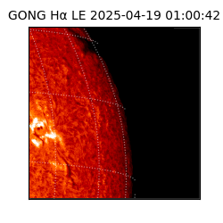 gong - 2025-04-19T01:00:42