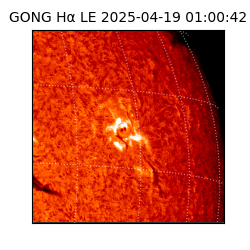gong - 2025-04-19T01:00:42