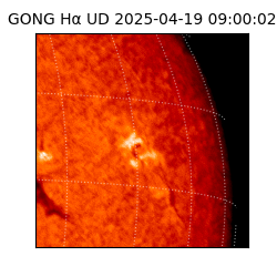 gong - 2025-04-19T09:00:02