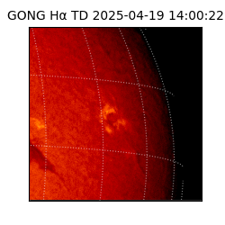 gong - 2025-04-19T14:00:22
