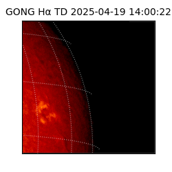 gong - 2025-04-19T14:00:22