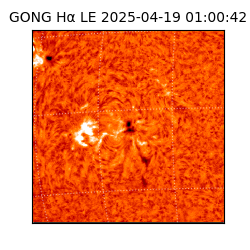 gong - 2025-04-19T01:00:42