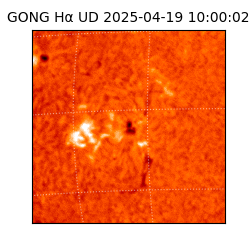 gong - 2025-04-19T10:00:02