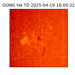 gong - 2025-04-19T16:00:22