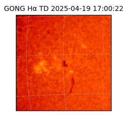 gong - 2025-04-19T17:00:22