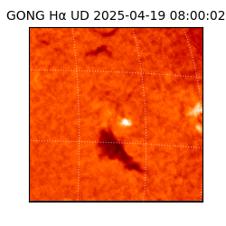 gong - 2025-04-19T08:00:02