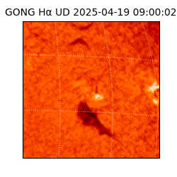 gong - 2025-04-19T09:00:02