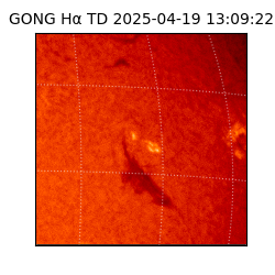 gong - 2025-04-19T13:09:22