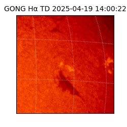 gong - 2025-04-19T14:00:22