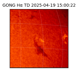 gong - 2025-04-19T15:00:22