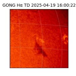 gong - 2025-04-19T16:00:22