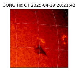 gong - 2025-04-19T20:21:42