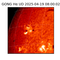 gong - 2025-04-19T08:00:02