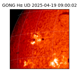 gong - 2025-04-19T09:00:02